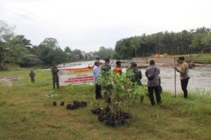 Lestarikan Lingkungan, Kodim 1002/HST Tanam Pohon Sambut HUT Ke-65 Kodam VI/Mlw