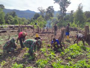 Satgas Yonif Raider 200/BN Bantu Masyarakat Buka Lahan Untuk Berkebun