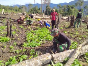 Satgas Yonif Raider 200/BN Bantu Masyarakat Buka Lahan Untuk Berkebun