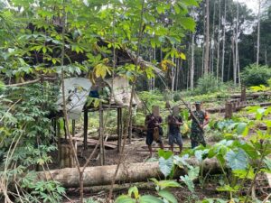 Mantan TPNPB Serahkan 3 Pucuk Senjata Enkle Loop, 50 Butir Munisi dan 1 Magazen Kepada Personel Kodim 1711/BVD Korem 174/ ATW