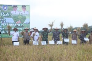 Danrem 045/Gaya Panen Raya Padi Bersama Wamentan RI