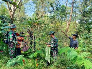 Satgas Yonif RK 744/SYB Dampingi Masyarakat di Perbatasan Panen Kopi Untuk Ekonomi yang Lebih Baik