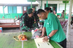 Kolaborasi Solid Satgas Yonif 411/Pandawa Bersama Tim Kesehatan Puskesmas Mumugu