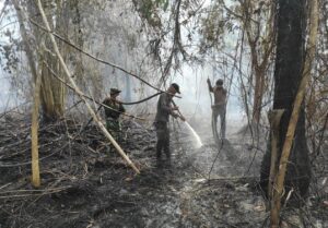 Personel Kodim 0303/Bengkalis Berjibaku Padamkan Kebakaran di Rangsang Pesisir