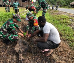 Satgas Yonif Raider 200/BN Bagikan dan Tanam Bibit Pinang Bersama Masyarakat Kampung Benawa