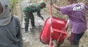 Permudah Angkut Hasil Pertanian Babinsa Bantu Warga Pengecoran Jalan Usaha Tani