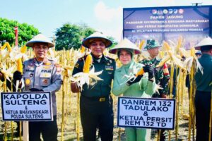 Tingkatkan Ketahanan Pangan, Pangdam XIII/Merdeka Didampingi Danrem 132/Tadulako dan Pemda Donggala Panen Jagung