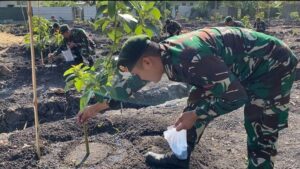 Prajurit Yonarmed 12 Kostrad Bersama-Sama Laksanakan Pemupukan Kebun Alpukat