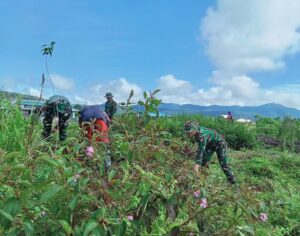 Satgas Yonif Raider 200/BN Bantu Warga Membuka Lahan Kebun