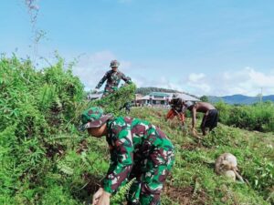 Satgas Yonif Raider 200/BN Bantu Warga Membuka Lahan Kebun