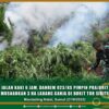Jalan Kaki 6 jam, Danrem 023/KS Pimpin Prajurit Musnahkan 3 Ha Ladang Ganja di Bukit Tor Sihite