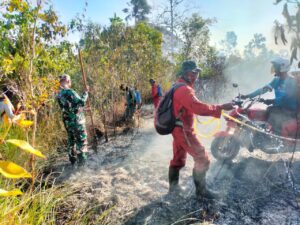 Prajurit Kodim 0429/Lamtim Bersama Aparat Lain dan Masyarakat Padamkan Api