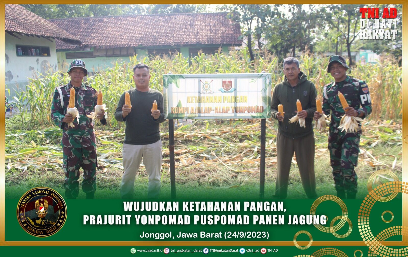 Wujudkan Ketahanan Pangan, Prajurit Yonpomad Puspomad Panen Jagung