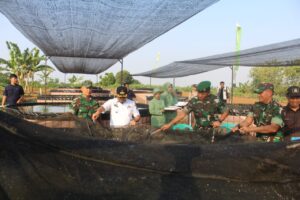 Pangdam II/Sriwijaya Tinjau Lahan Pertanian 'Rahma' Milik Kodim 0406 Lubuk Linggau