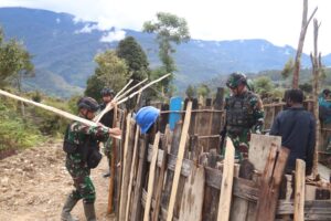 Panggul Papan Kayu Belasan Kilometer, Satgas Yonif 330 Bantu Bangun Honai Warga