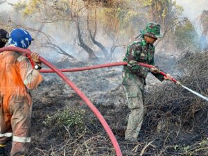 Babinsa Berjibaku Bantu Padamkan Karhutla