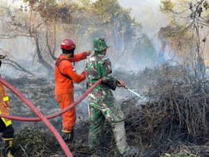 Babinsa Berjibaku Bantu Padamkan Karhutla