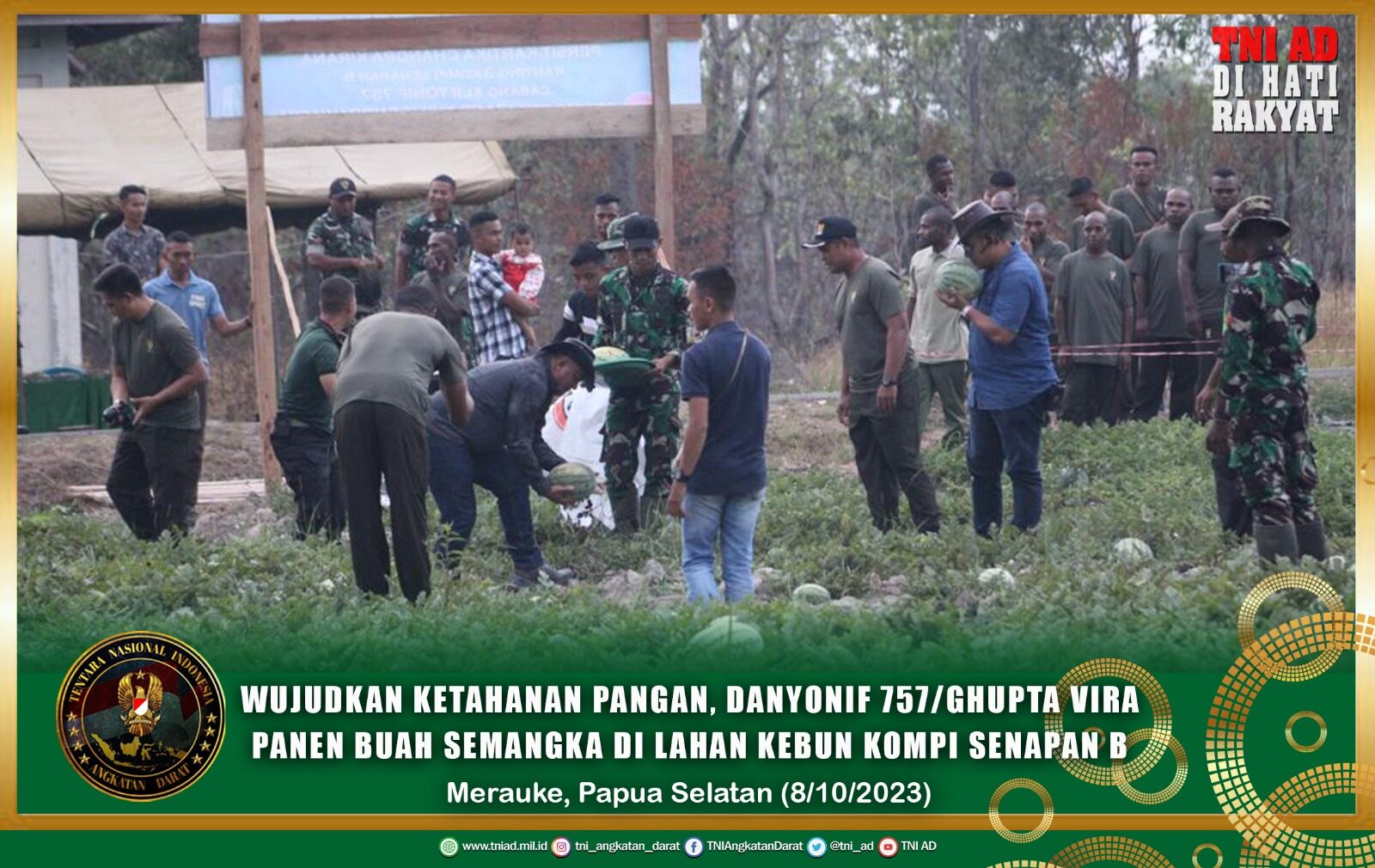 Wujudkan Ketahanan Pangan, Danyonif 757/Ghupta Vira Panen Buah Semangka Di Lahan Kebun Kompi Senapan B