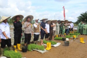 Program KP2MN, Dandim 0116/Nagan Raya Tanam Padi bersama Forkopimda