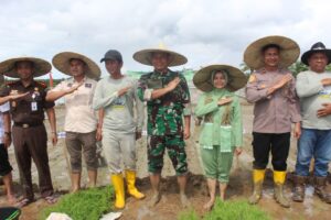 Program KP2MN, Dandim 0116/Nagan Raya Tanam Padi bersama Forkopimda