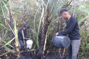 Aksi Cepat Tanggap Satgas Yonif 330/Tri Dharma, Berhasil Padamkan Kebakaran Hutan di Intan Jaya