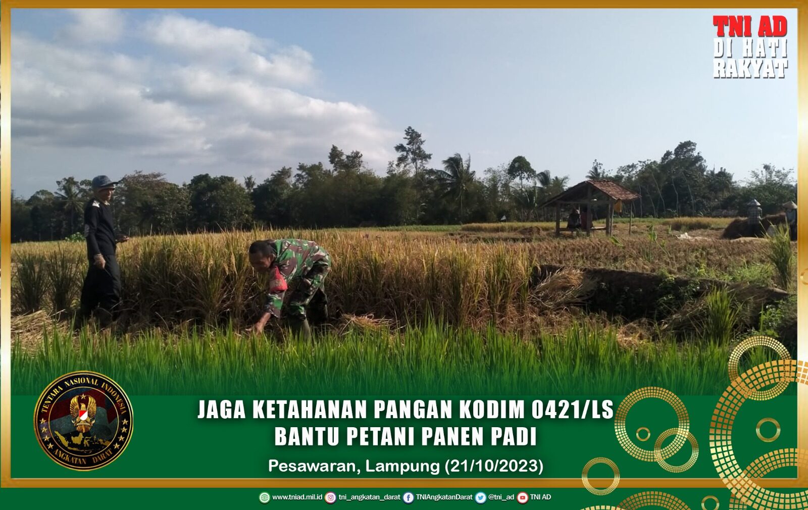 Jaga Ketahanan Pangan Kodim 0421/LS Bantu Petani Panen Padi