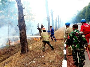 Dandim 0413/Bangka Sigap Bantu Padamkan Api Kebakaran Hutan