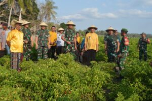 Kunjungan Kerja di Kodim 1627/Rote Ndao, Pangdam IX/Udayana Tinjau Lokasi Hanpang Fi Dale