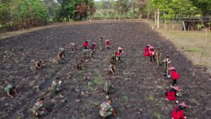 Dukung Program Ketahanan Pangan, Yonarmed 12 Angicipi Yudha Manfaatkan Lahan Kosong Dengan Tanam Jagung