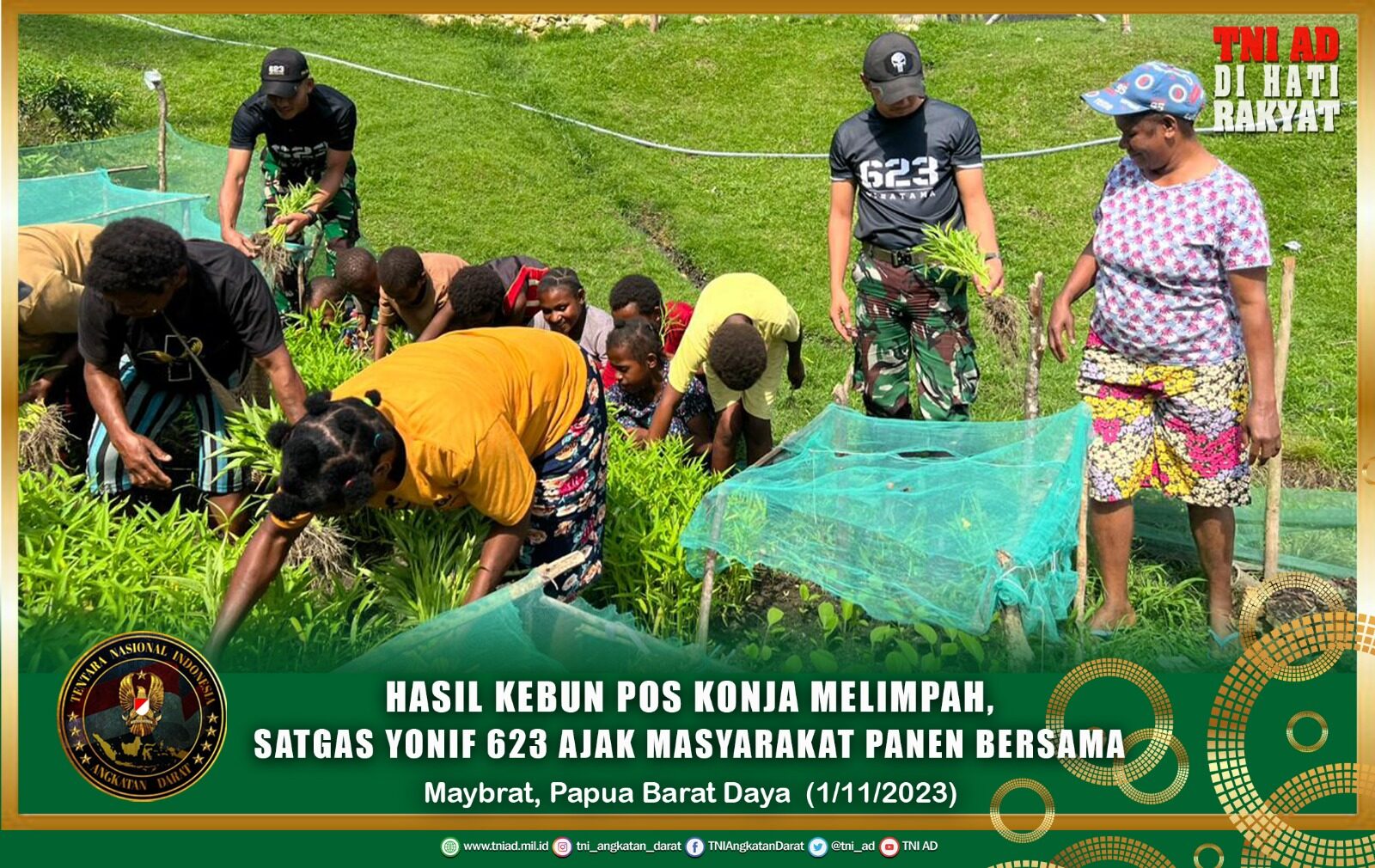 Hasil Kebun Pos Konja Melimpah, Satgas Yonif 623 Ajak Masyarakat Panen Bersama