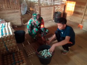 Dandim 1002/HST Ikuti Vicon Gerakan Nasional Ketahanan Pangan