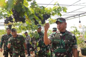 Inisiasi Gerakan Nasional Ketahanan Pangan, TNI Ubah Lahan Tidur Menjadi Produktif