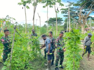 Wujudkan Ketahanan Pangan, Satgas Yonif 122/TS Ajak Masyarakat Kelola Lahan Kosong