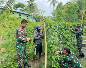 Wujudkan Ketahanan Pangan, Satgas Yonif 122/TS Ajak Masyarakat Kelola Lahan Kosong