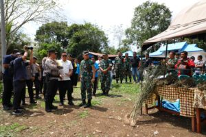 Pangdam I/BB dan Kapoldasu Musnahkan Ladang Ganja 150 Ha di Madina