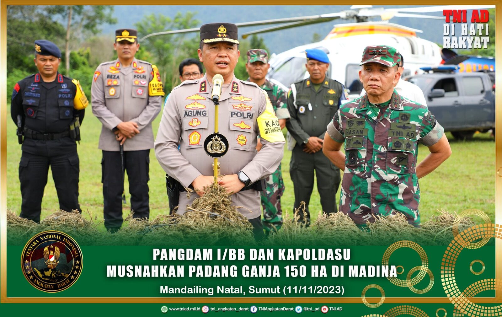 Pangdam I/BB dan Kapoldasu Musnahkan Ladang Ganja 150 Ha di Madina