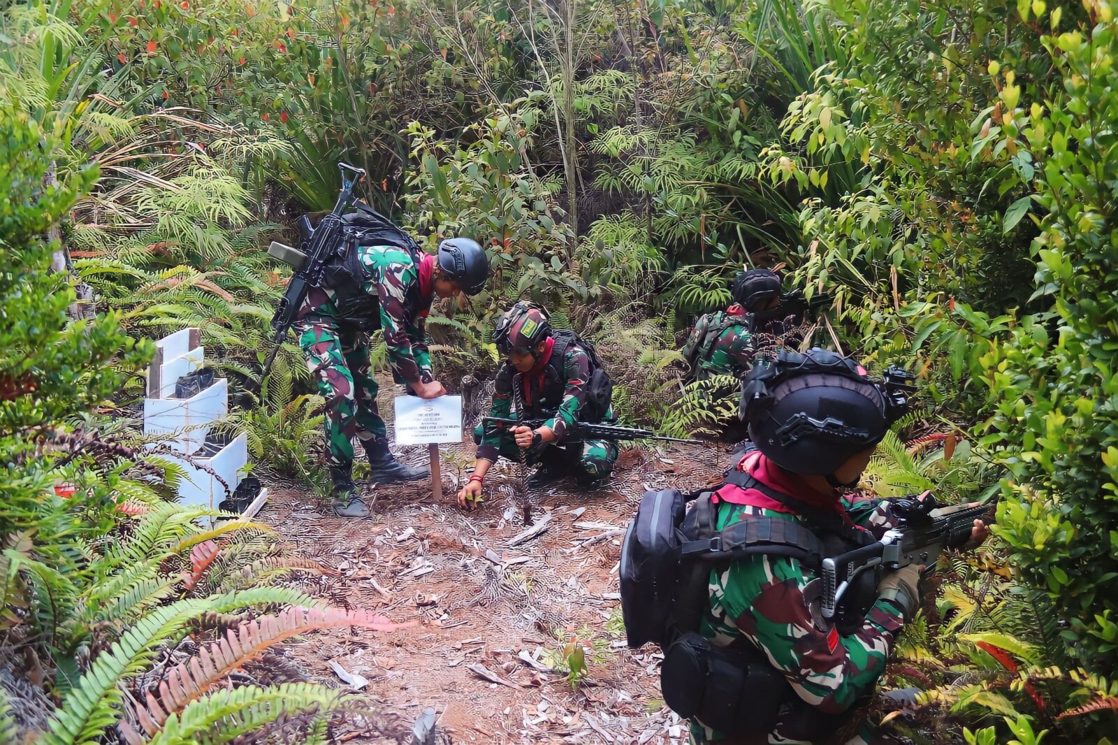 Peringati Hari Juang TNI AD ke-78, Satgas 330 Reboisasi Hutan Gundul di Intan Jaya