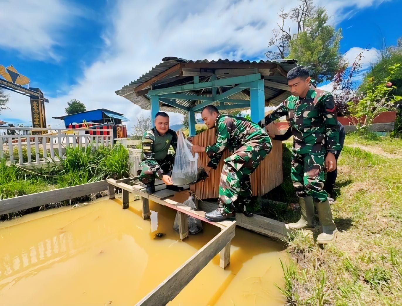 Satgas Yonif 509 Kostrad Tanam Sayur dan Tabur Benih Ikan Lele Untuk Warga Papua