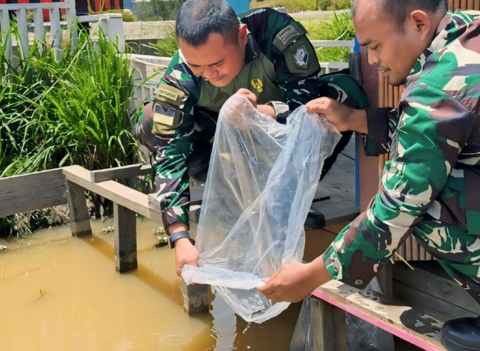 Satgas Yonif 509 Kostrad Tanam Sayur dan Tabur Benih Ikan Lele Untuk Warga Papua