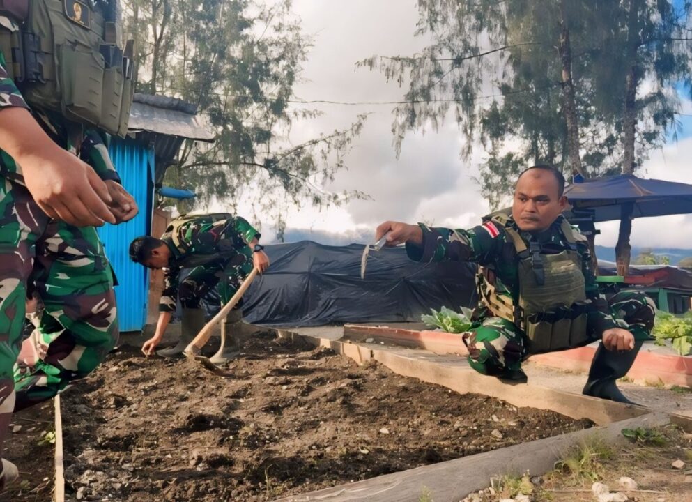 Satgas Yonif 509 Kostrad Tanam Sayur dan Tabur Benih Ikan Lele Untuk Warga Papua