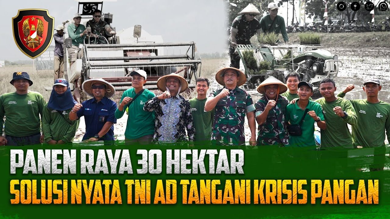 Panen Raya 30 Hektar, Solusi Nyata TNI AD Tangani Krisis Pangan