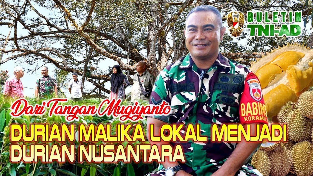 Dari Tangan Mugiyanto, Durian Malika Lokal Menjadi Durian Nusantara