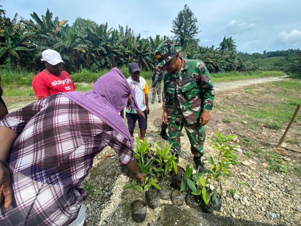 Bantu 250 Bibit Buah, Satgas Yonif 122/TS Tingkatkan Ekonomi Warga Kampung Gambut