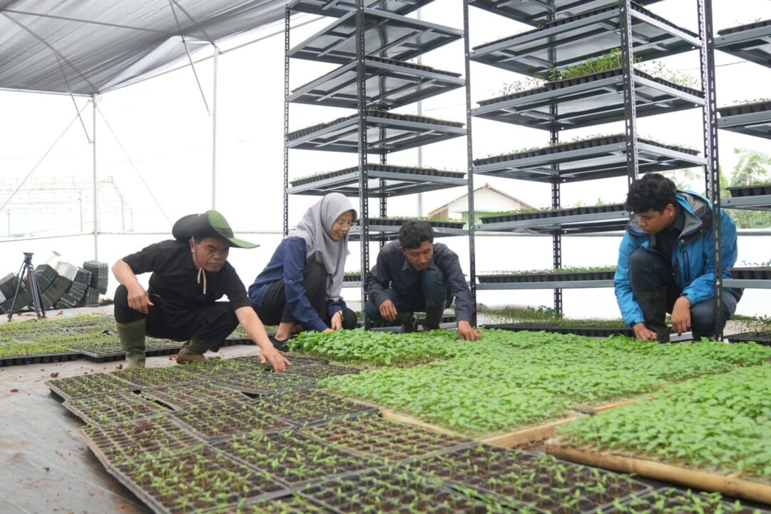 Ungkap Peran TNI AD dalam Ketahanan Pangan dan Pelestarian Alam, Dispenad Ajak Awak Media Jelajahi Agroforestry Gunung Hejo