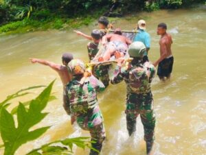 Babi Hutan Menyerang Warga, Prajurit 501 Sigap Lakukan Evakuasi