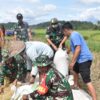 Kodim Wonosobo dan Bulog Turun Langsung ke Sawah, Serap Gabah Petani Demi Kesejahteraan