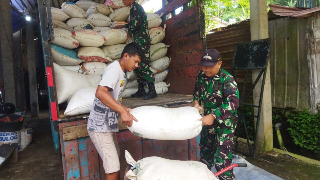 Kodim Wonosobo dan Bulog Turun Langsung ke Sawah, Serap Gabah Petani Demi Kesejahteraan