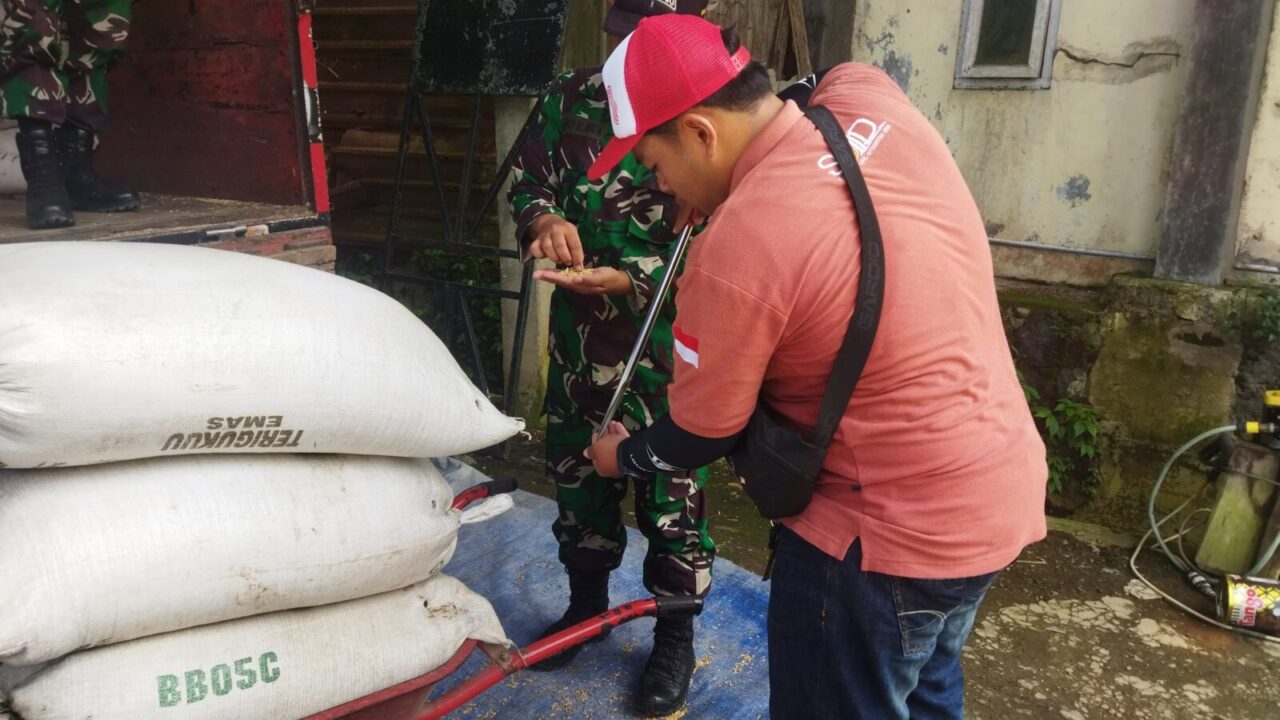 Kodim Wonosobo dan Bulog Turun Langsung ke Sawah, Serap Gabah Petani Demi Kesejahteraan