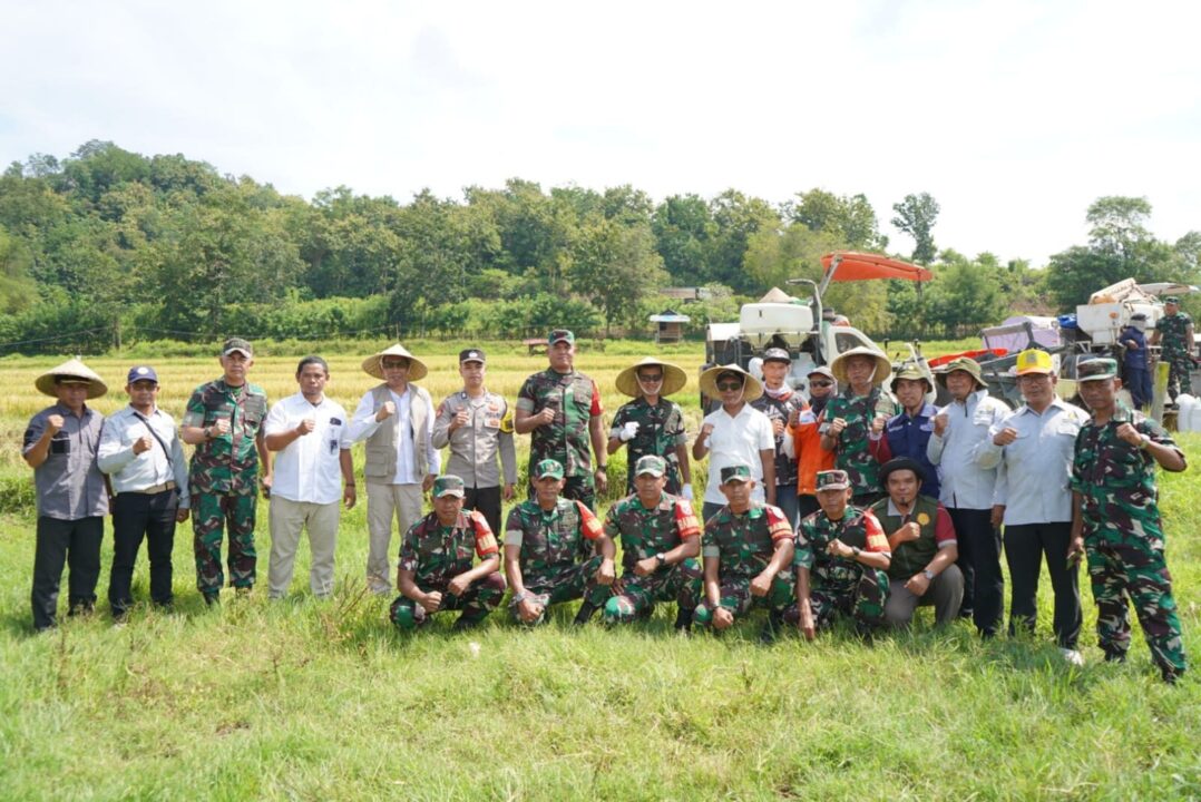 Panen Raya Padi Bersama TNI AD, Pangdam IX/Udayana : Langkah Menuju Kesejahteraan Petani