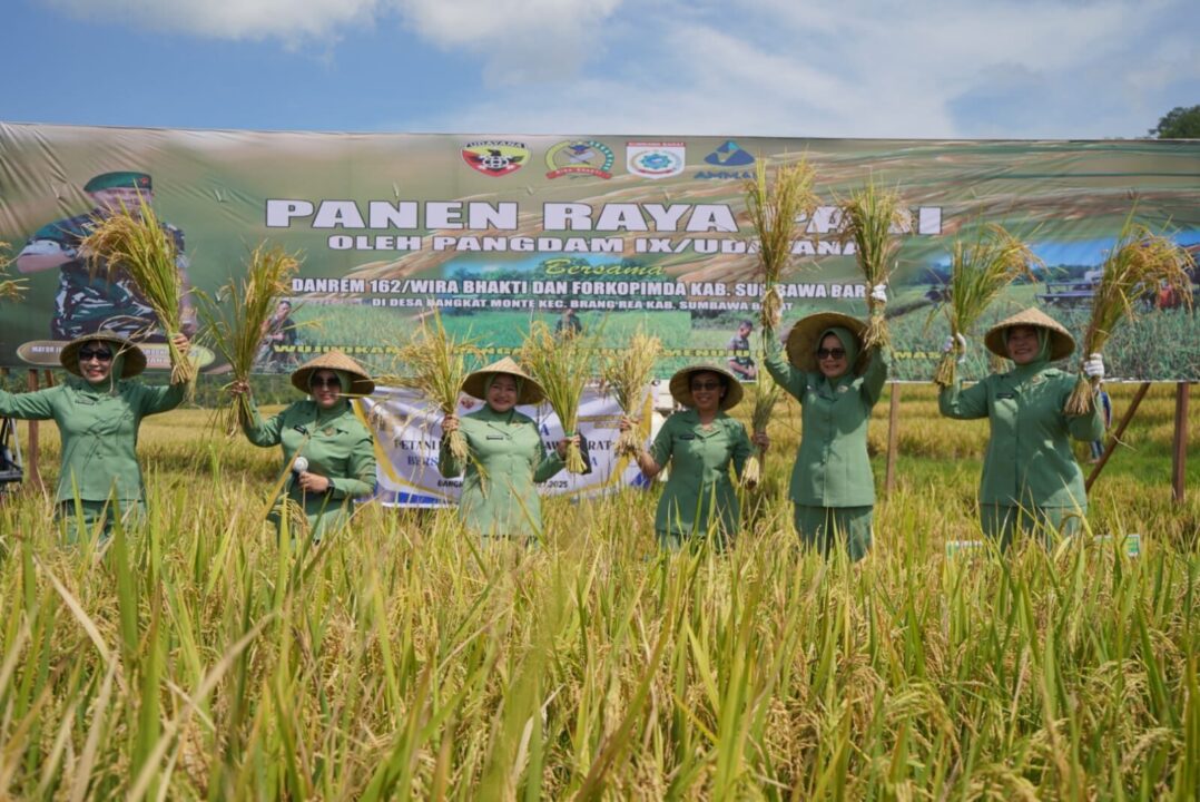 Panen Raya Padi Bersama TNI AD, Pangdam IX/Udayana : Langkah Menuju Kesejahteraan Petani